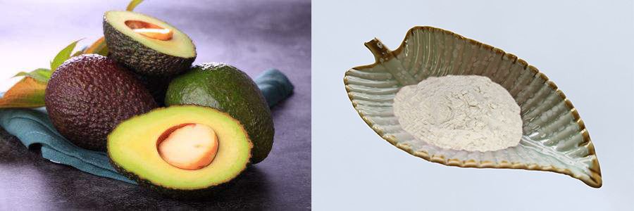 Avocado Juice Powder