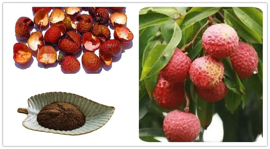 Lychee Extract Supplier