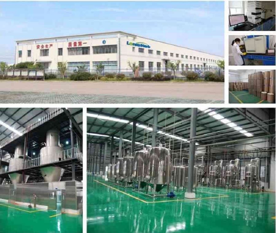 Lychee Extract Factory