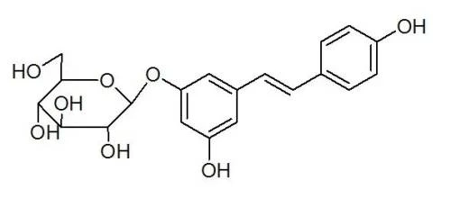 Polydatin 98%,Piceid Powder