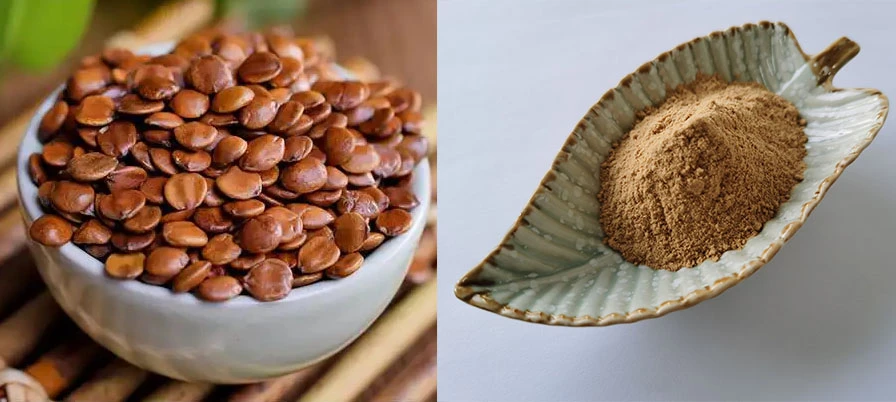 Jujube Seed Extract Powder Jujube Seed Extract Powder