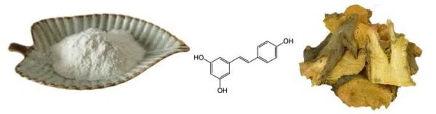 Trans-resveratrol Powder