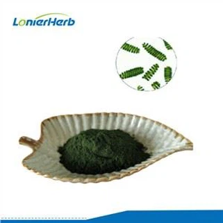 Proteinový prášek Spirulina