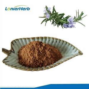 Kyselina rozmarinová v prášku